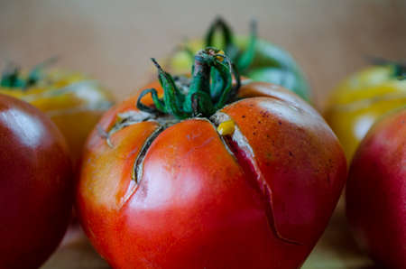 Overripe red tomato close upの写真素材