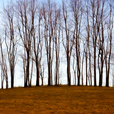 field and trees. Vector illustration Wildlife background templateの写真素材