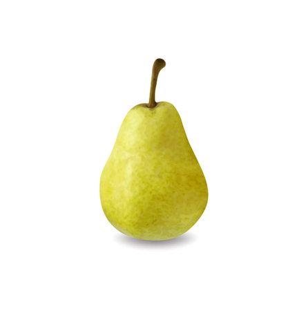 Green pear isolated on white background Vector illustrationのイラスト素材