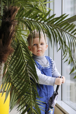 Baby in a blue jumpsuit behind a Palm tree near the window.の写真素材