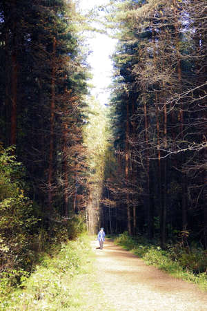 dark dirt path through the autumn forestの写真素材
