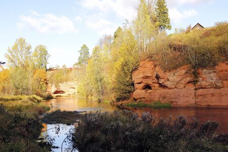 autumn trees on a sandy above a small riverの写真素材
