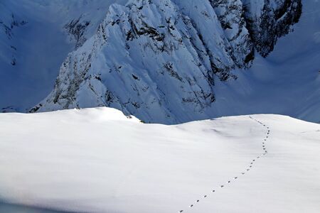 animal footstep on a snowy mountainside on sunny dayの写真素材