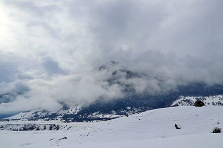 winter forest covered with fog on a mountainsideの写真素材