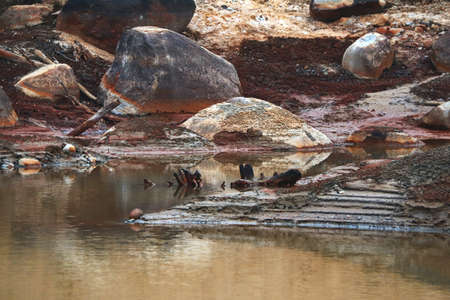 Dirty bottom of a dried-up lake. Ecological problems.の写真素材