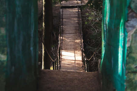 suspension bridge over a dark ravine in the forestの写真素材