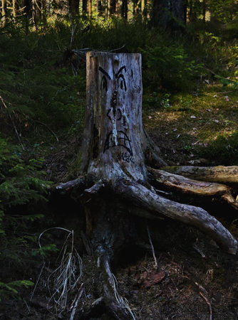 an old stump in a dark forest with a painted face