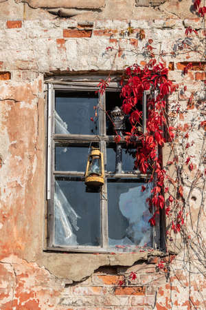 orange wall of an abandoned house with wooden window, red ivy and kerosene lanternの写真素材