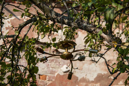 an old rusty chandelier with glass pendants hangs on a tree branchの写真素材