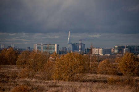 orange autumn field with trees and a city on the horizonの写真素材