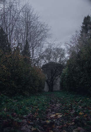 a trail between bushes in the fog and a building with old tree at the endの写真素材