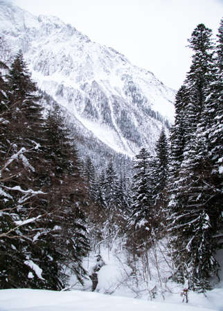 mountain river in a forest ravine in winterの写真素材