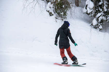 girl on a snowboard rides down the side of the mountainの写真素材