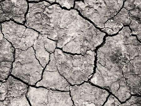 Close up of the cracked ground, dry soil texture for background (black and white tone)
