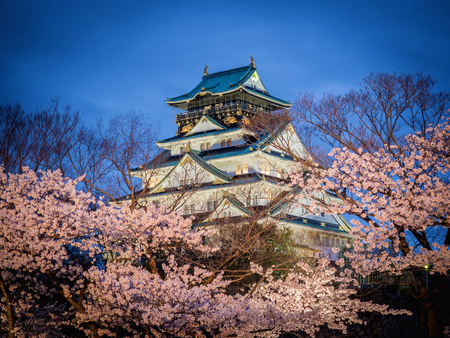 Osaka castle among cherry blossom trees (sakura) in the evening scene after sunset with dark blue sky and light (selective focus on the castle with blurry foreground of branches and cherry blossom trees)のeditorial素材