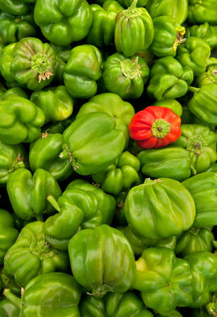 Stack of Green Organic Paprika Pepper in a vegetable market 