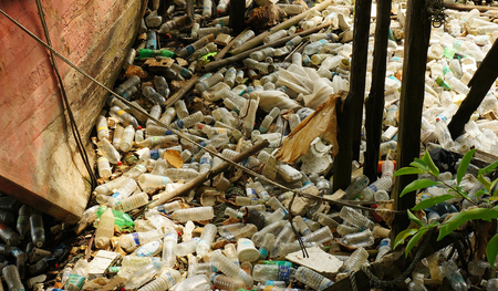 Lots of plastic waste floating the river bank