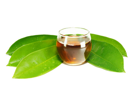 Green Soursop leaves and tea, isolated on white backgroundの写真素材