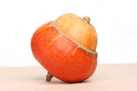 Orange decorative pumpkin of unusual shape