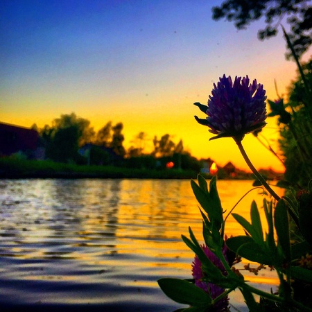 Dramatic Sky over a Canalの素材