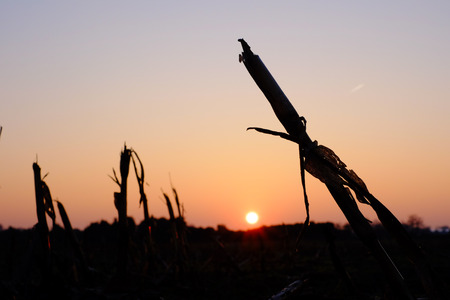 Colorful countryside sunset showing the dramatic sky around duskの写真素材