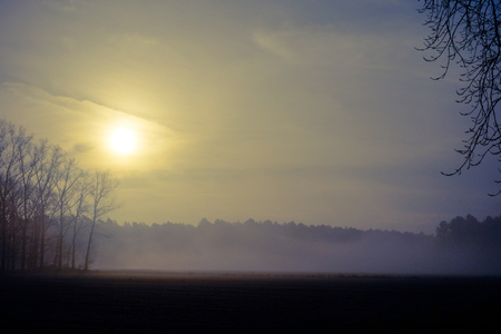 Countryside sunrise between the trees and the forests and the fields, on a misty morningの写真素材