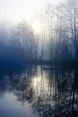 Countryside sunrise between the trees and the forests and the fields, on a misty morningの写真素材