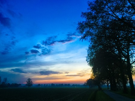 Dramatic colorful countryside sunrise with trees and silhouettesの写真素材