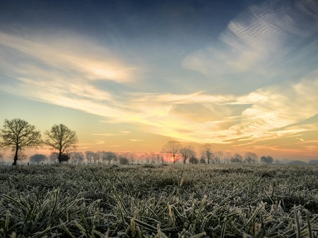 Dramatic colorful countryside sunrise with trees and silhouettesの写真素材