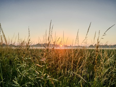 Dramatic colorful countryside sunrise with trees and silhouettesの写真素材