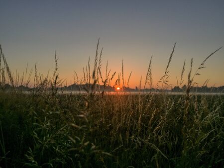 Dramatic colorful countryside sunrise with trees and silhouettesの写真素材