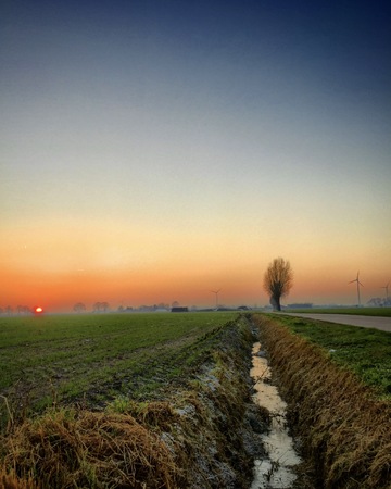 Dramatic colorful countryside sunrise with trees and silhouettesの写真素材