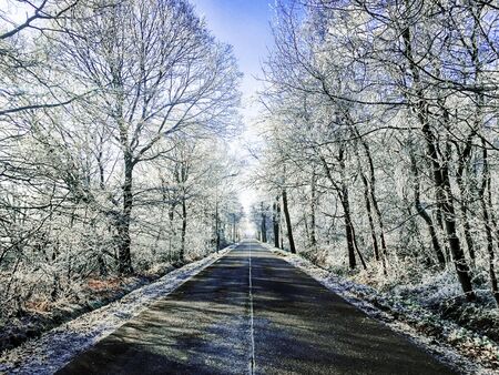 Landscape in the winter cloudy day of snow covered fields and forests in Belgium, Province Antwerp, District Turnhout, Rijkevorselの写真素材