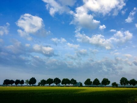 Beautiful green flat landscape with deep blue sky and clouds in the Belgian Kempen, province Antwerpen, Turnhoutの写真素材