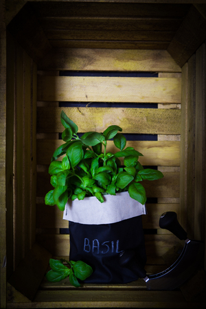 Fresh basil in a pot on a vintage wooden fruit crate background as decoration or as foodの写真素材