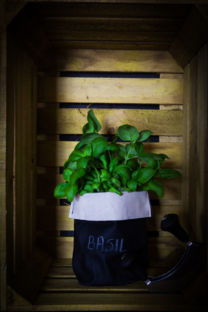 Fresh basil in a pot on a vintage wooden fruit crate background as decoration or as foodの写真素材