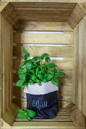 Fresh basil in a pot on a vintage wooden fruit crate background as decoration or as foodの写真素材