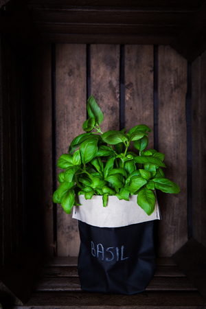 Fresh basil in a pot on a vintage wooden fruit crate background as decoration or as foodの写真素材