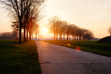 Picturesque landscape scene and sunrise or sunset above an asphalt road sided by tree silhouettes in a countryside settingの写真素材