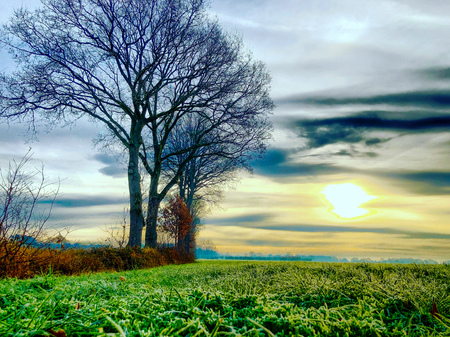 Dramatic and colorful sunrise or sunset sky over a grassy green farmfield lined by treesの写真素材