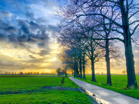 Dramatic and colorful sunrise or sunset sky over a grassy green farmfield lined by treesの写真素材