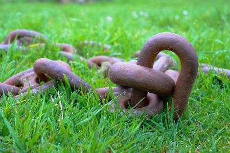 Close-up of rusty chain on green grass with dew