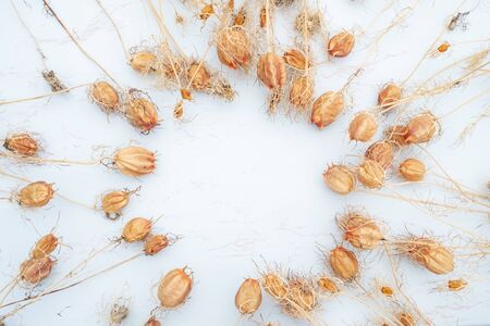 Flat lay composition of dried wild flowers
