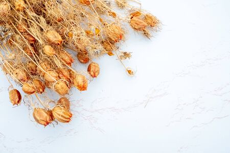 Flat lay composition of dried wild flowersの写真素材