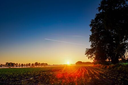 Colorful glowing sunrise over a countryside farming area, creating an idyllic scenic landscapeの写真素材