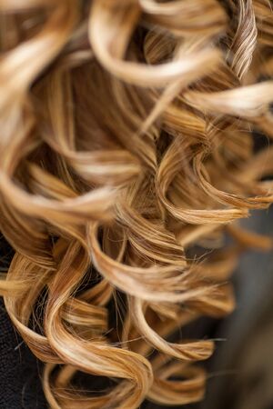 Hairdresser curling a blond womans hair in professional hairdressing salon or barbershop , seen from behind the customer, unrecognizable.の写真素材