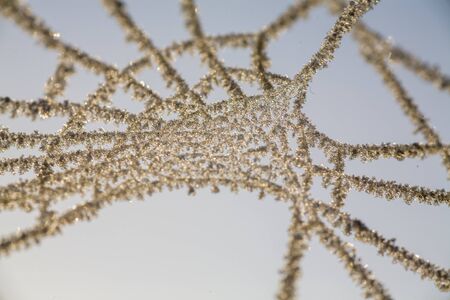 A spiders web covered by ice in wintertimeの写真素材