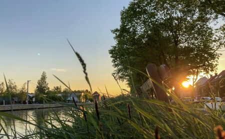 Dramatic sunset over a body of water surrounded by trees. High quality photoの写真素材