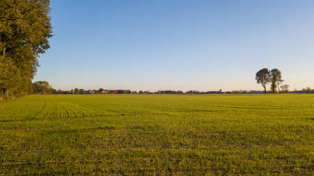 Dramatic and colorful sunrise or sunset sky over a grassy green farmfield shot from drone high up. High quality photoの写真素材