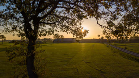 Dramatic and colorful sunrise or sunset sky over a grassy green farmfield shot from drone high up....